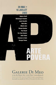 Vintage Exhibition Poster Arte Povera  - Galerie Di Meo Paris 2005