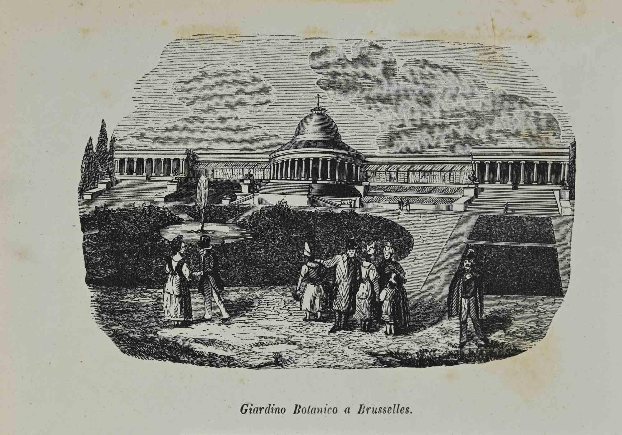 Figurative Print Various Authors - Jardin botanique à Bruxelles - Lithographie - 1862