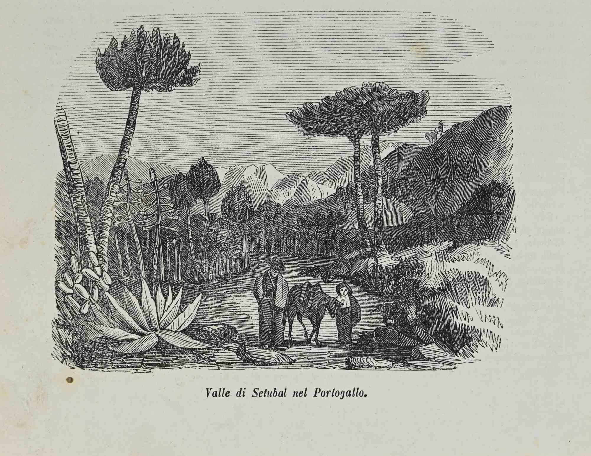 Various Authors Figurative Print - Setubal Valley in Portugal - Lithograph - 1862