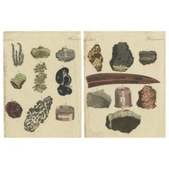 Various Minerals on Two Sheets Engravings Including Gold, Silver and Mercury