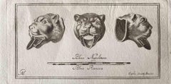 Antique Animal Figures - Original Etching by Various Old Masters - 1750s