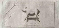 Animal Figures - Original Etching by Various Old Masters - Mid-18th Century