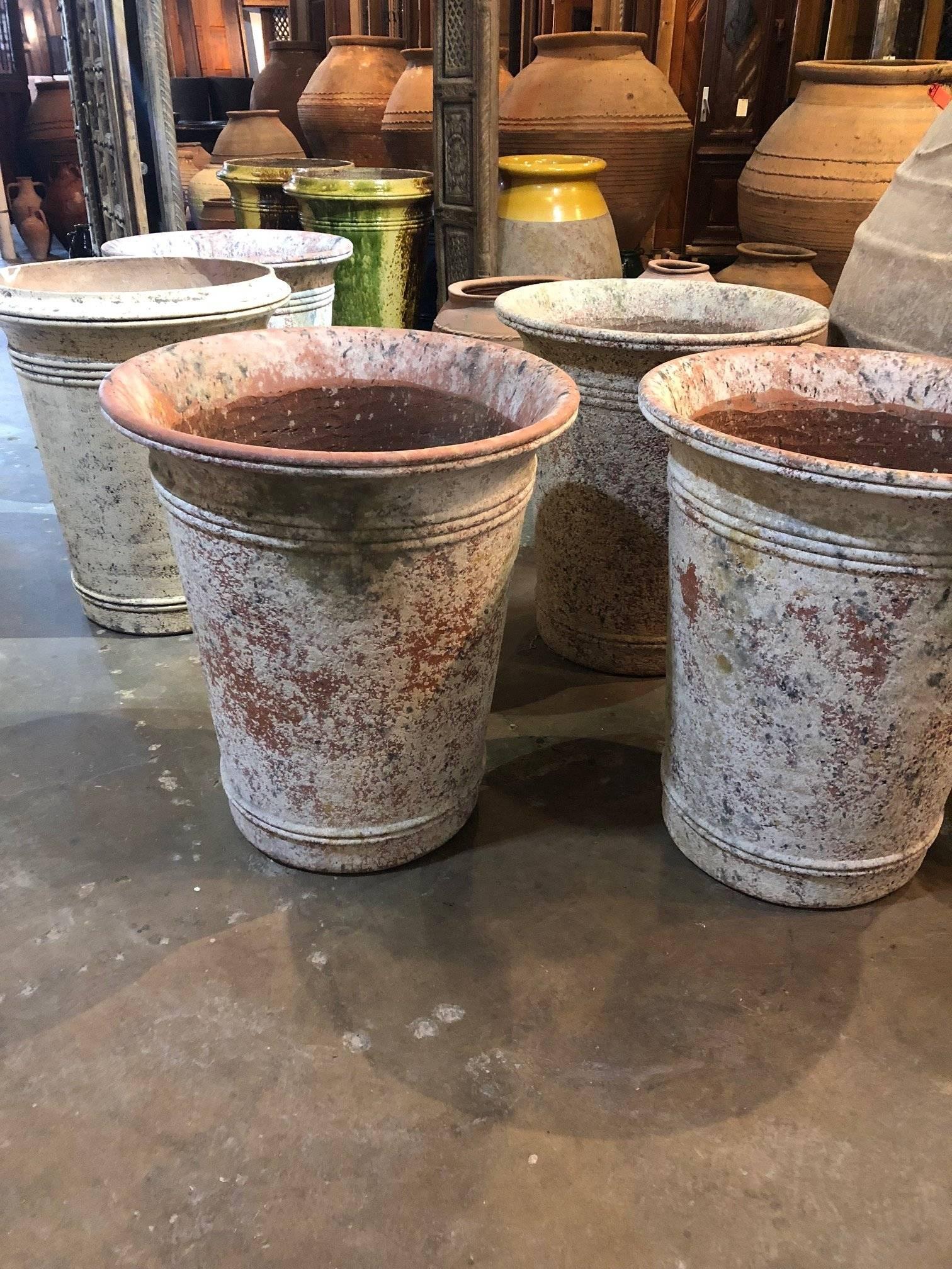 Various large, contemporary, terra cotta planters. Terracotta is a type of clay that is commonly used in making pots and planters of various sizes and shapes. Terracotta pots can be as small as two inches in diameter or height, and as large as the