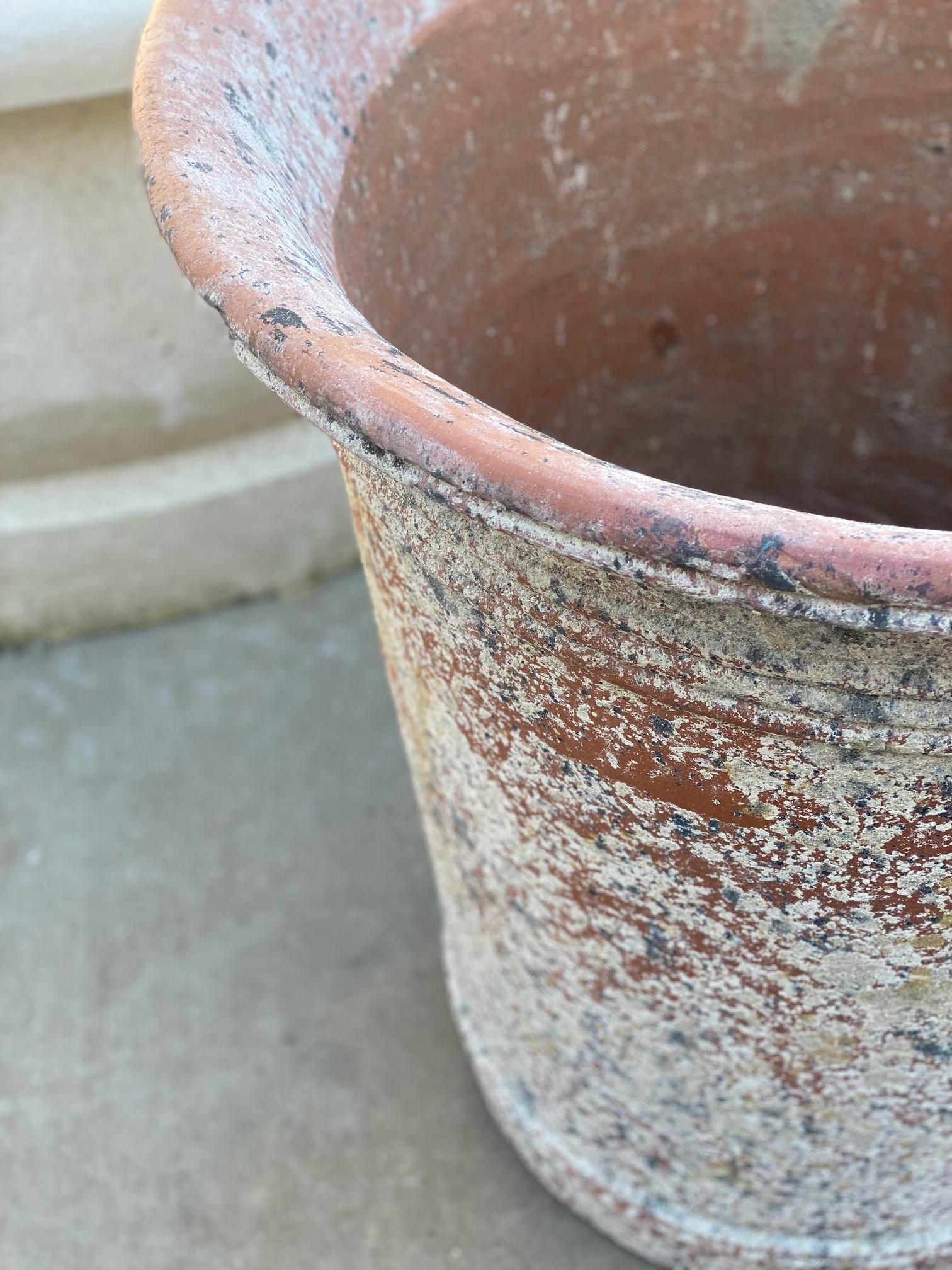 large white washed terracotta pots