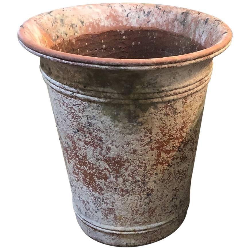 Varias Macetas de Terracota Contemporáneas Grandes Blanqueadas
