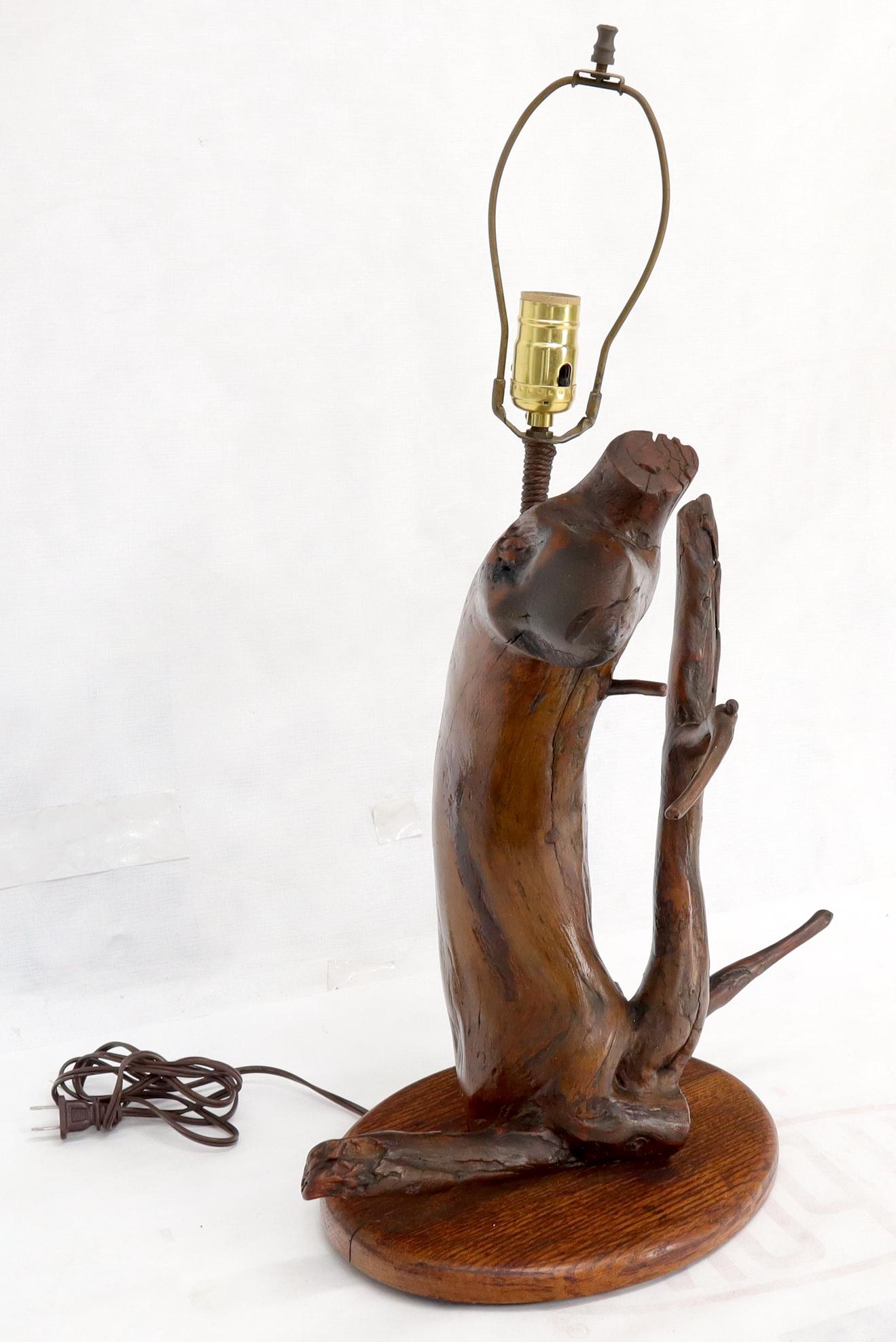 Varnished Arts & Crafts Driftwood Table Lamp For Sale 2