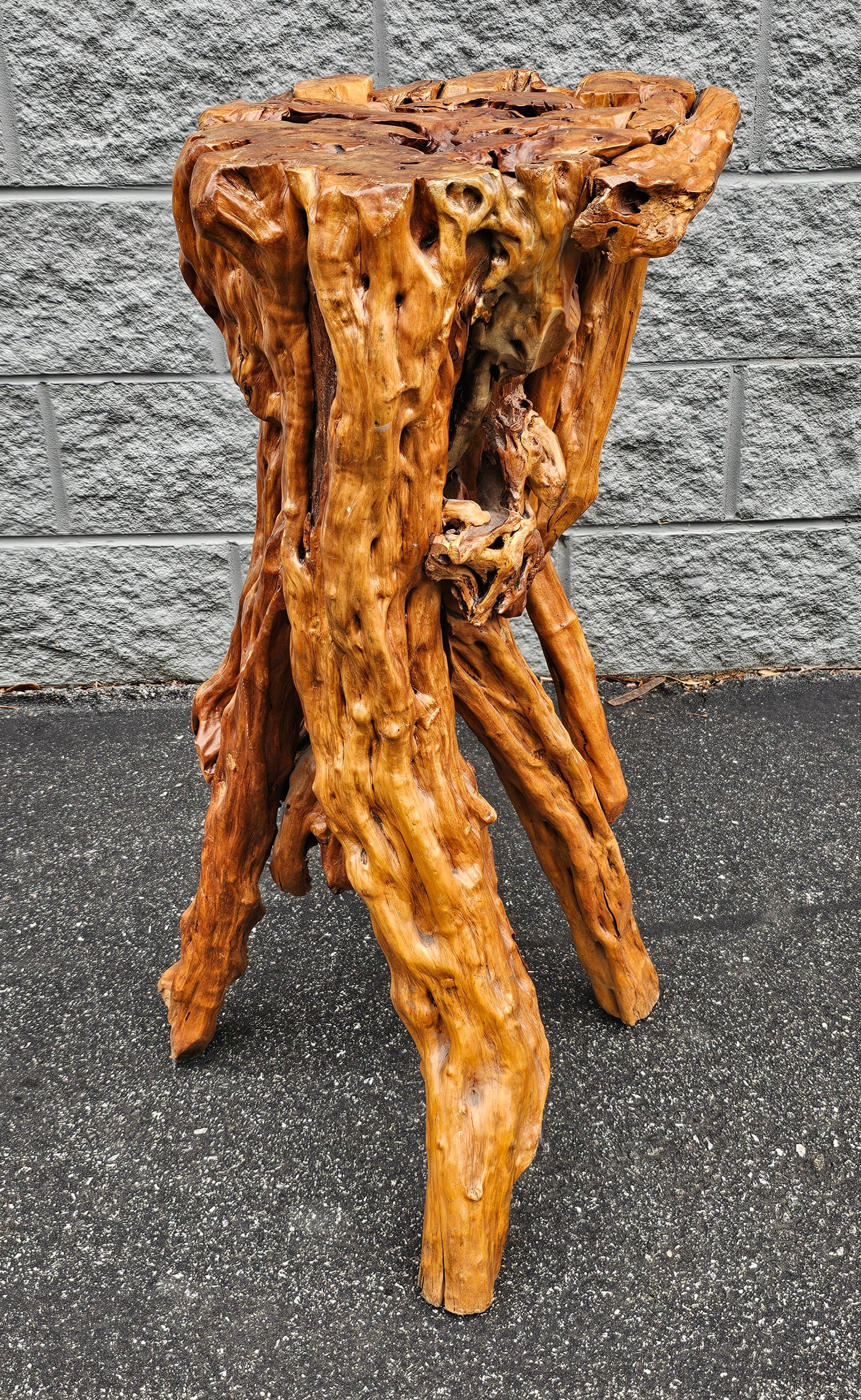 Un incroyable Driftwood Root Varnished Natural Organic Wood Pedestal, Side End Table, Stand en très bon état vintage.
Mesure 15
