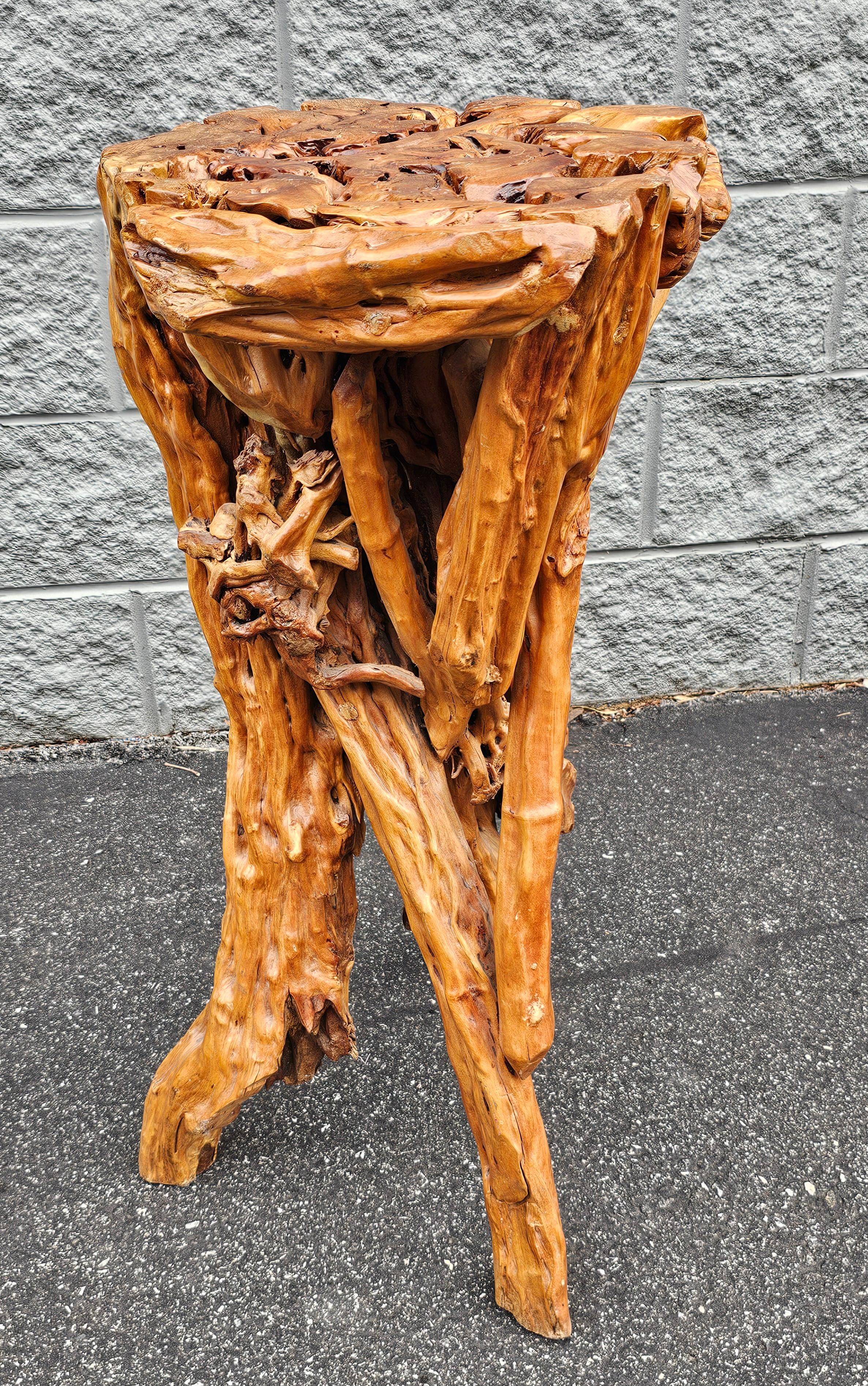 American Varnished Driftwood Root Natural Organic Wood Pedestal Side End Table Stand  For Sale