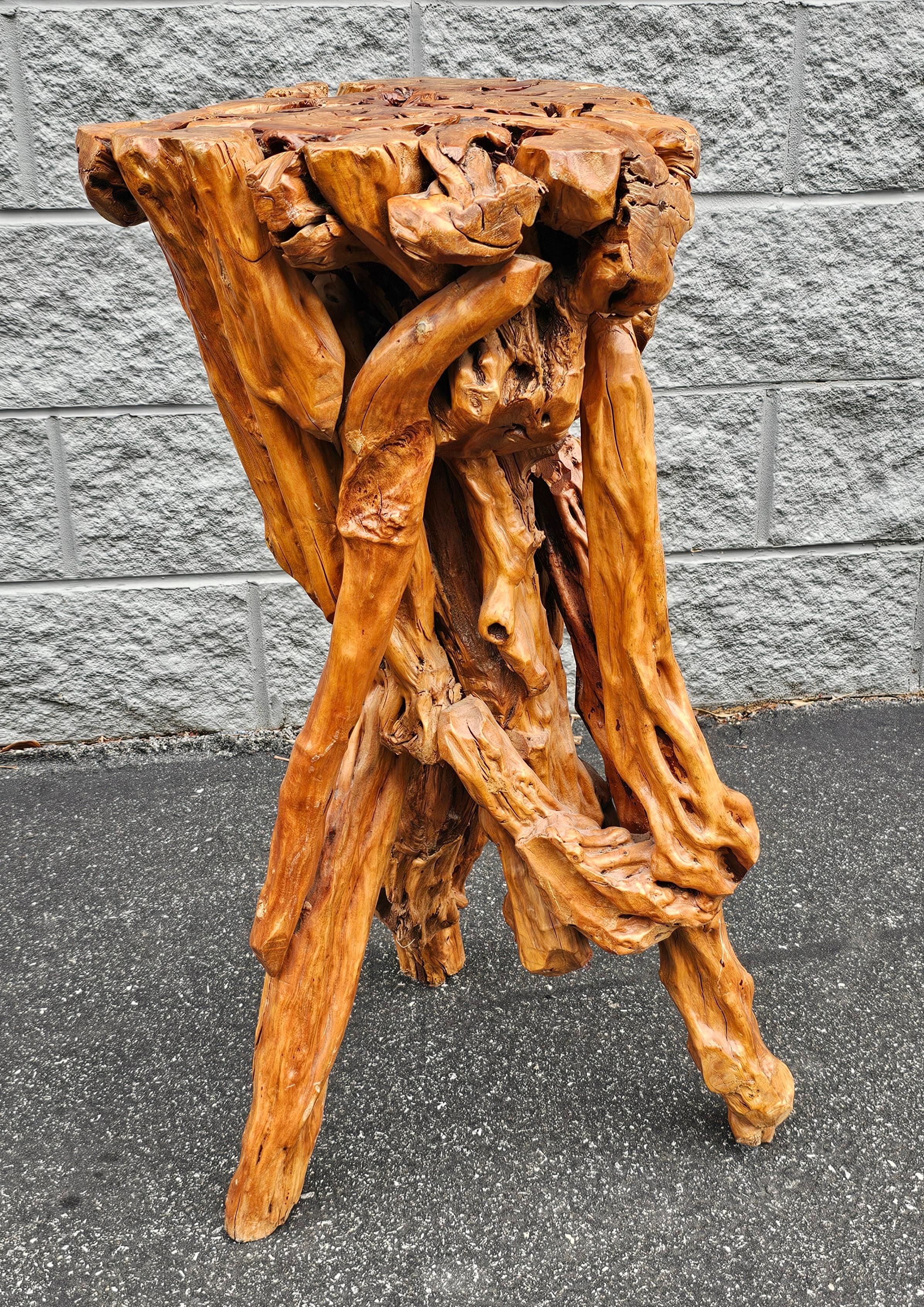 Varnished Driftwood Root Natural Organic Wood Pedestal Side End Table Stand  In Fair Condition For Sale In Germantown, MD