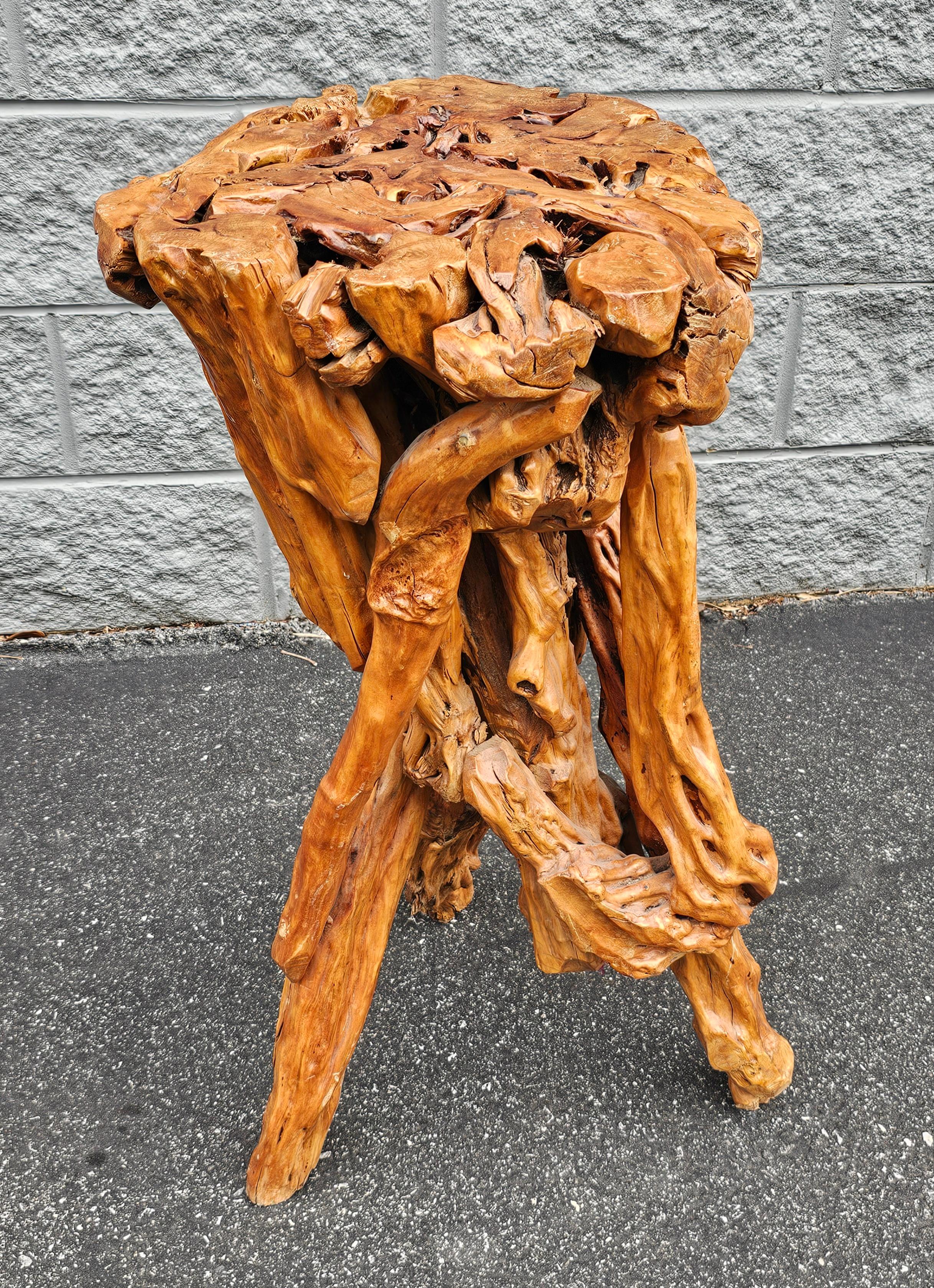 20th Century Varnished Driftwood Root Natural Organic Wood Pedestal Side End Table Stand  For Sale