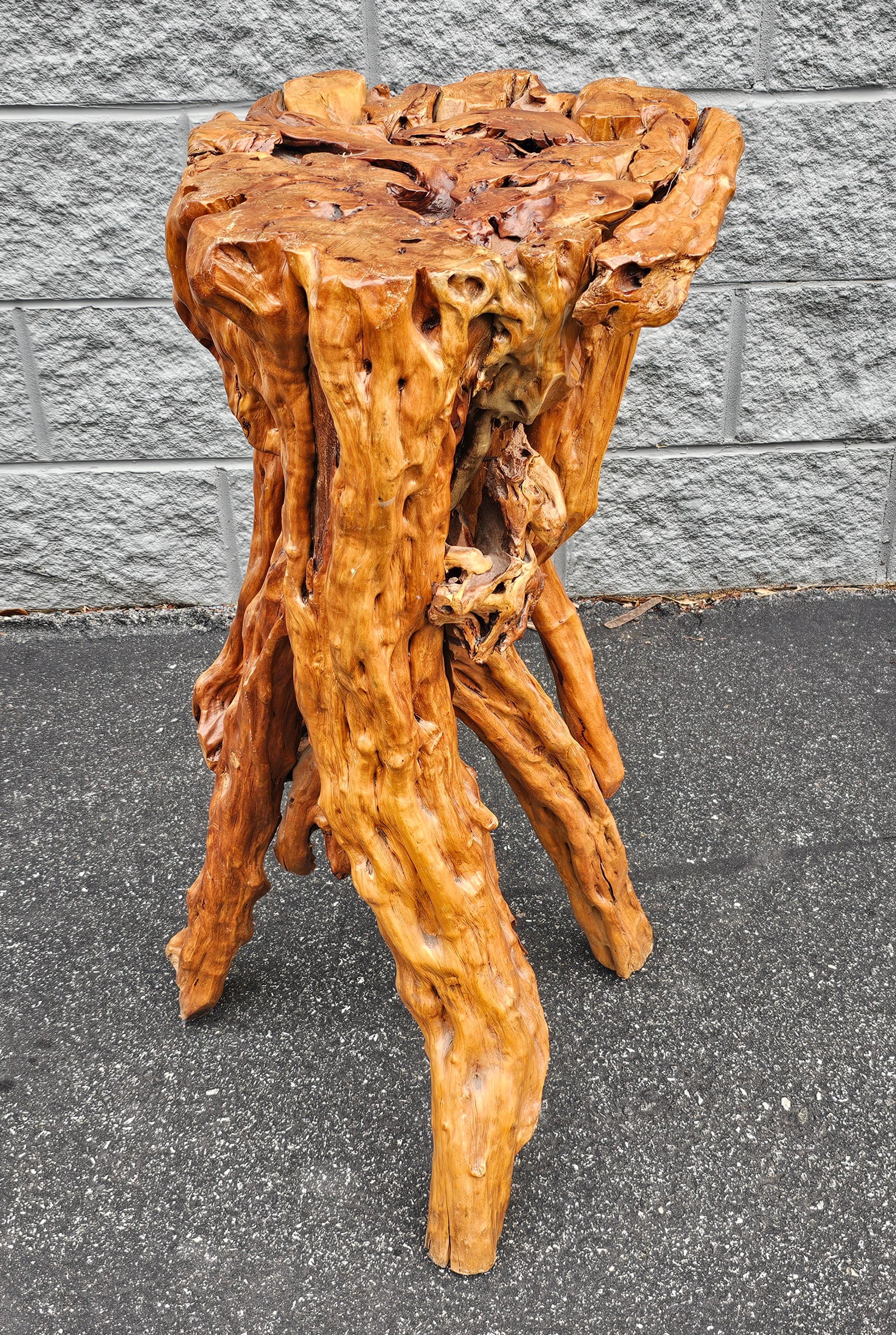 Hardwood Varnished Driftwood Root Natural Organic Wood Pedestal Side End Table Stand  For Sale