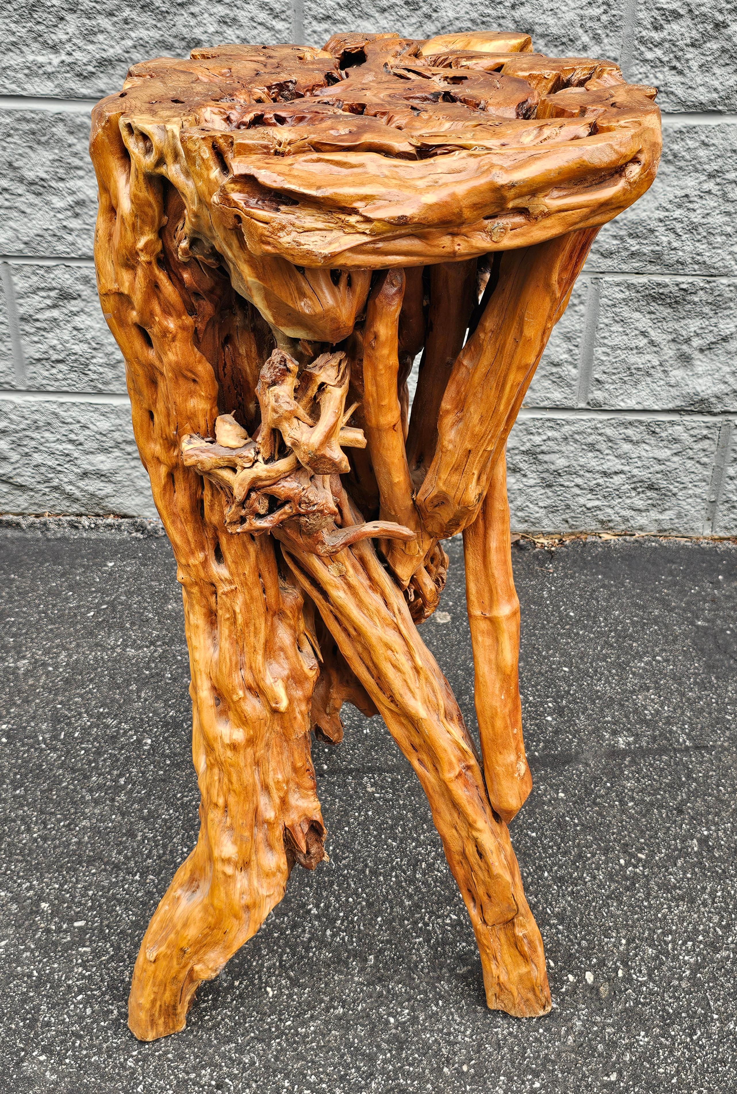 Varnished Driftwood Root Natural Organic Wood Pedestal Side End Table Stand  For Sale 1