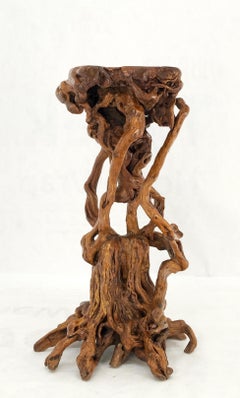 Varnished Driftwood Root Natural Organic Wood Pedestal Side End Table Stand Nice