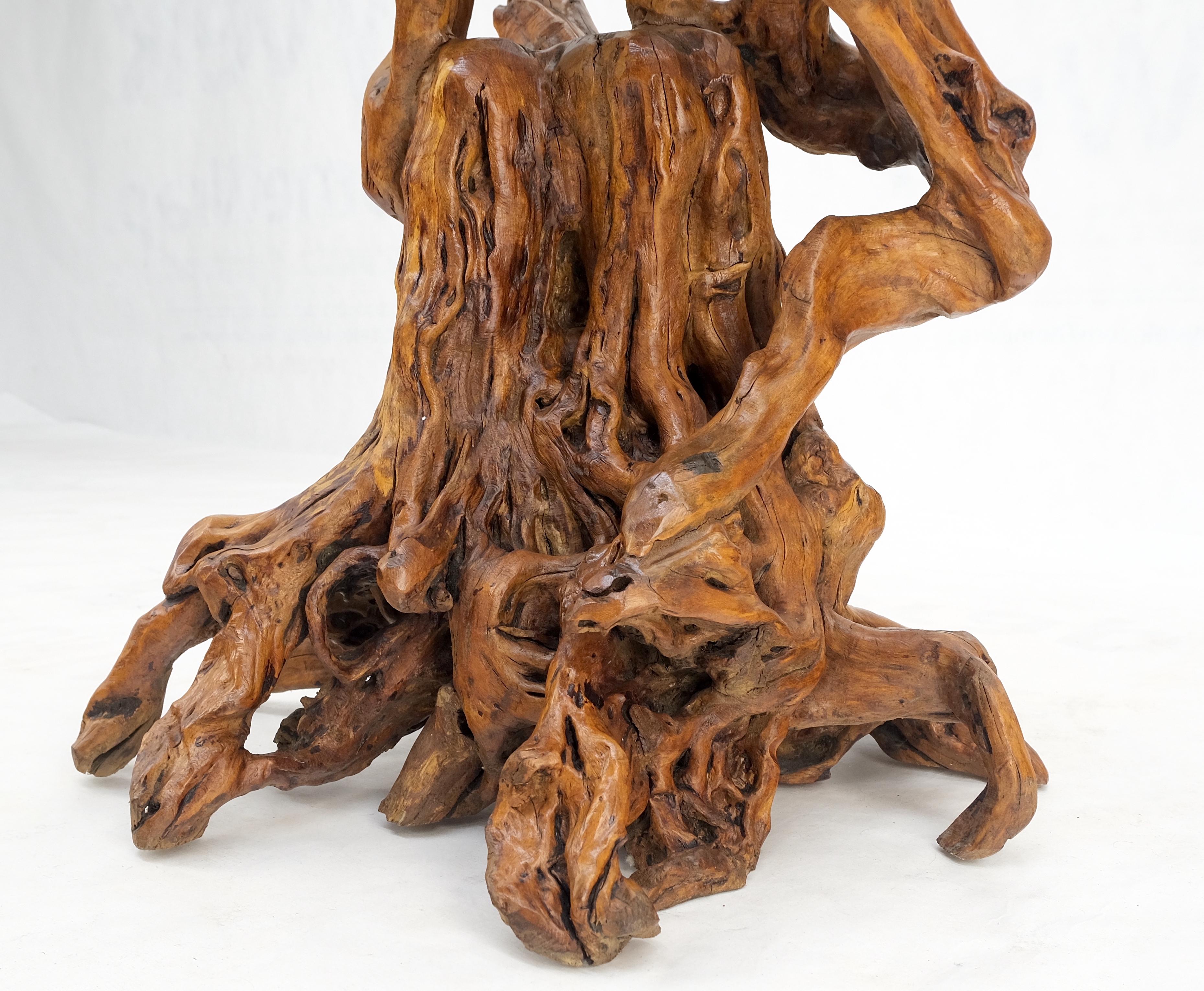 Varnished Driftwood Root Natural Organic Wood Pedestal Side End Table Stand Nice For Sale 2