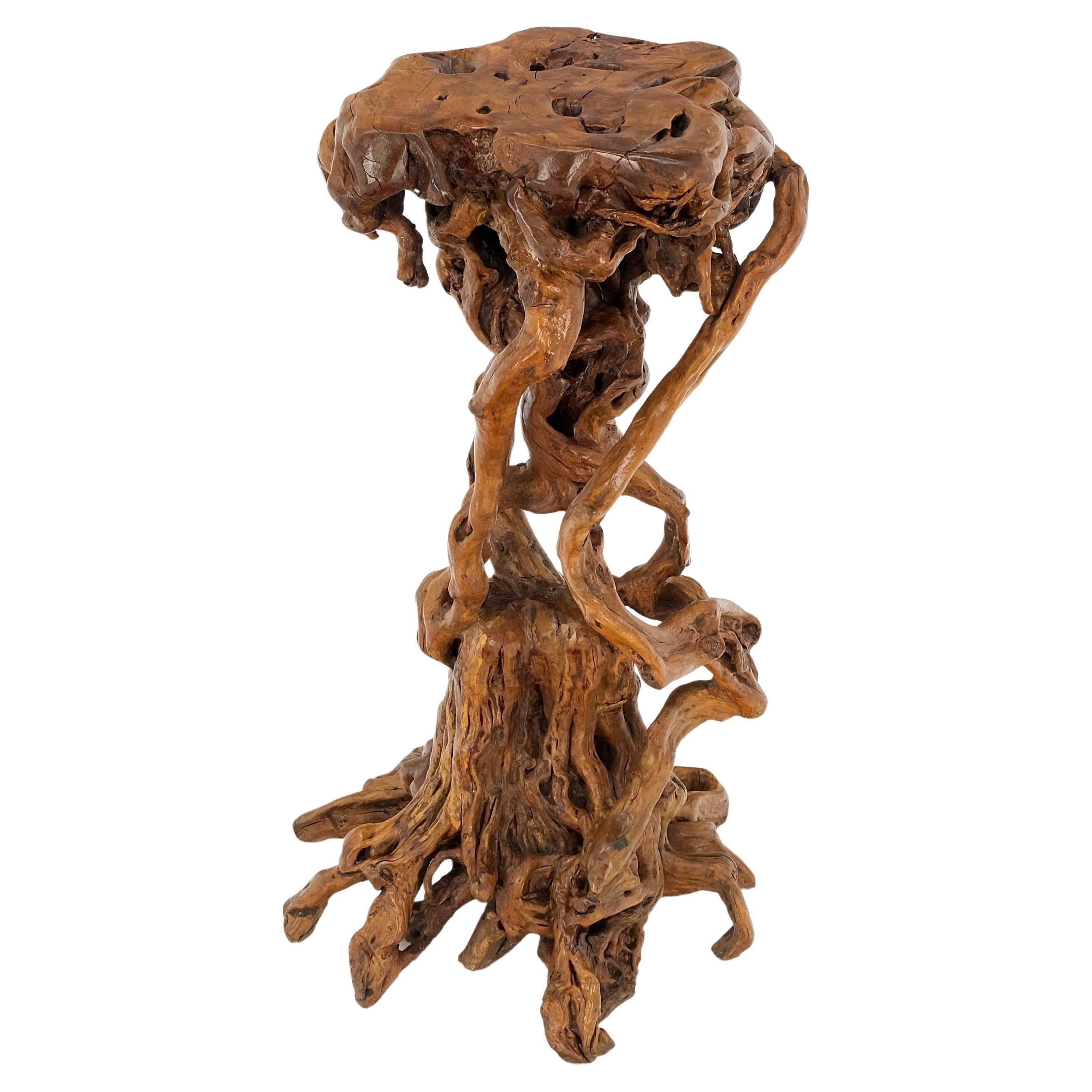 Varnished Driftwood Root Natural Organic Wood Pedestal Side End Table Stand Nice For Sale
