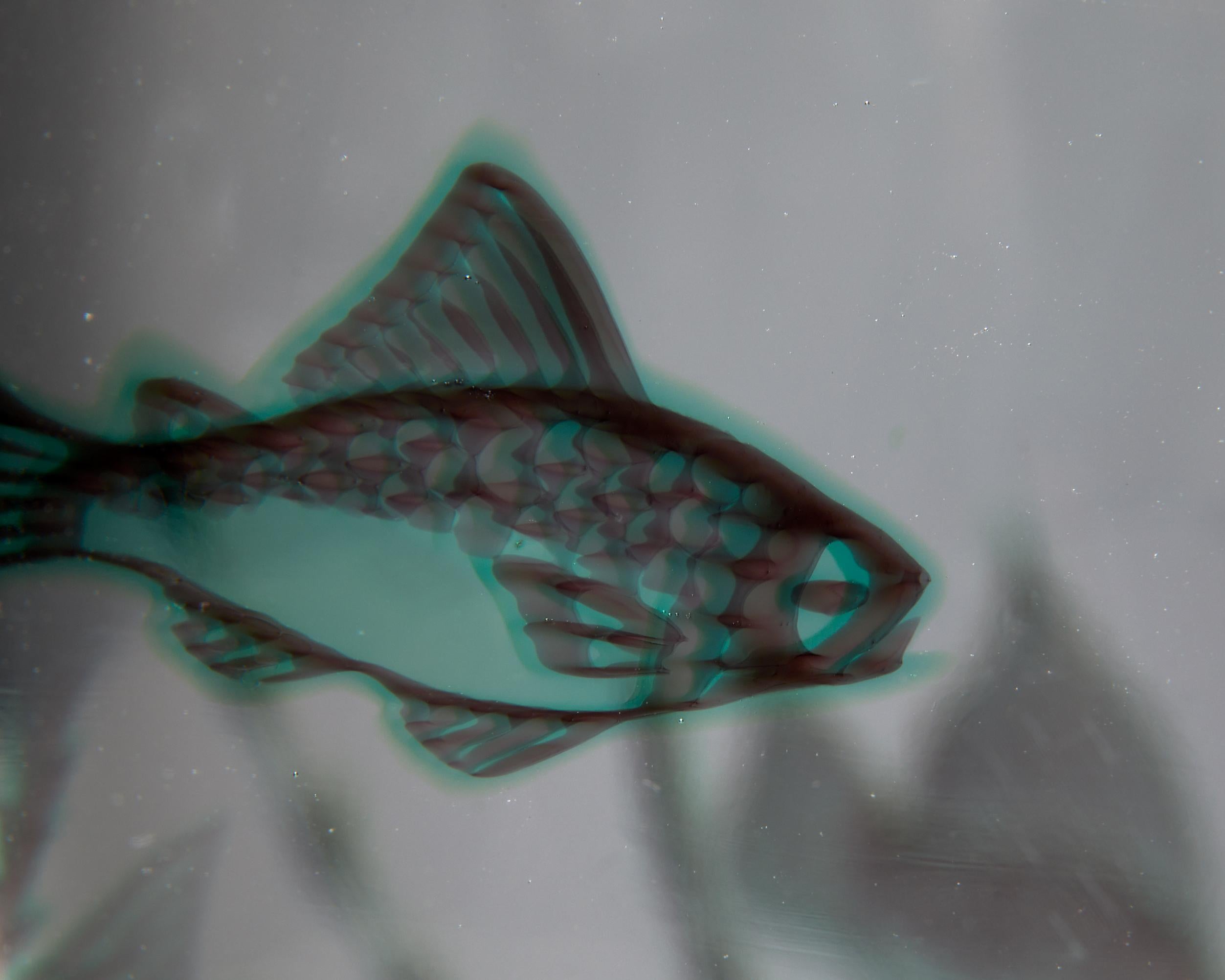 20th Century Vase ‘Fish Grail’ designed by Edward Hald for Orrefors, Sweden, 1940s.