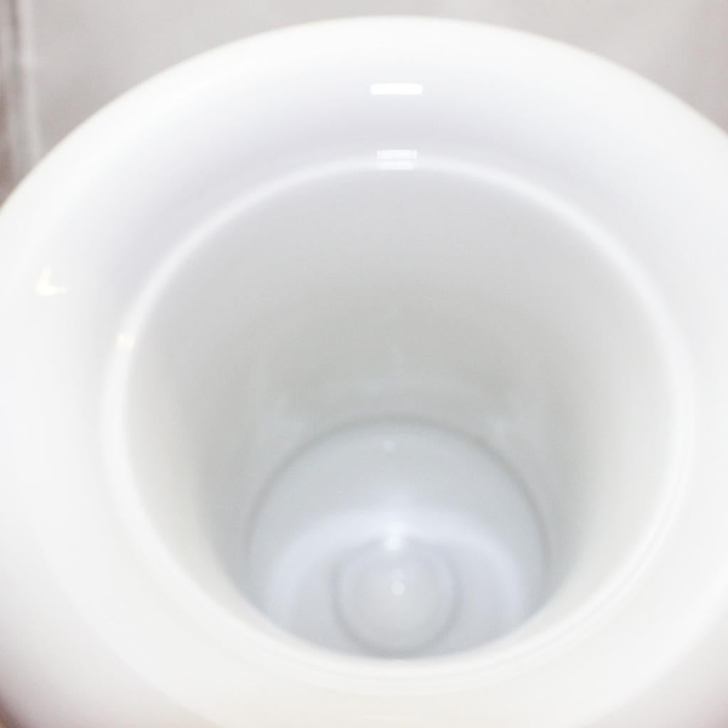 Porcelain Vase KPM Scepter Brand
