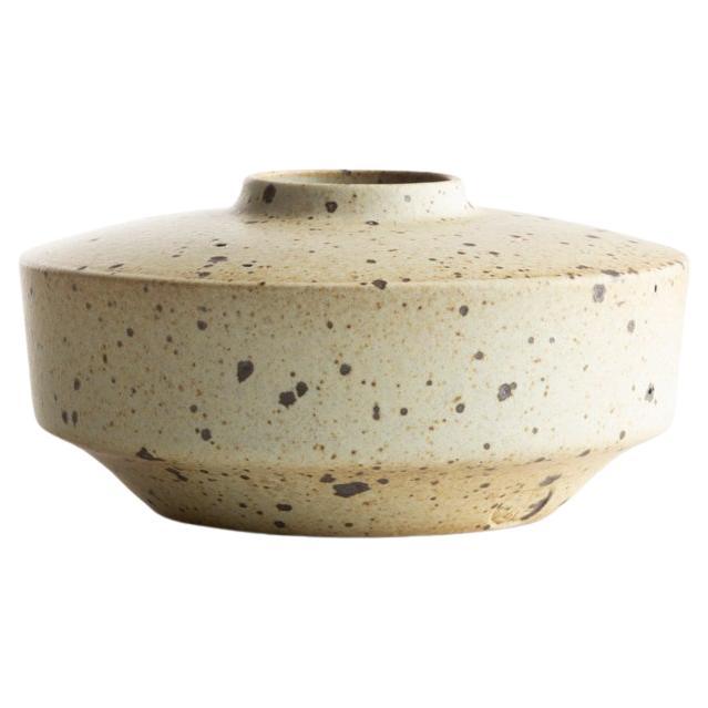 Vase plat de Robert The Deblander en vente