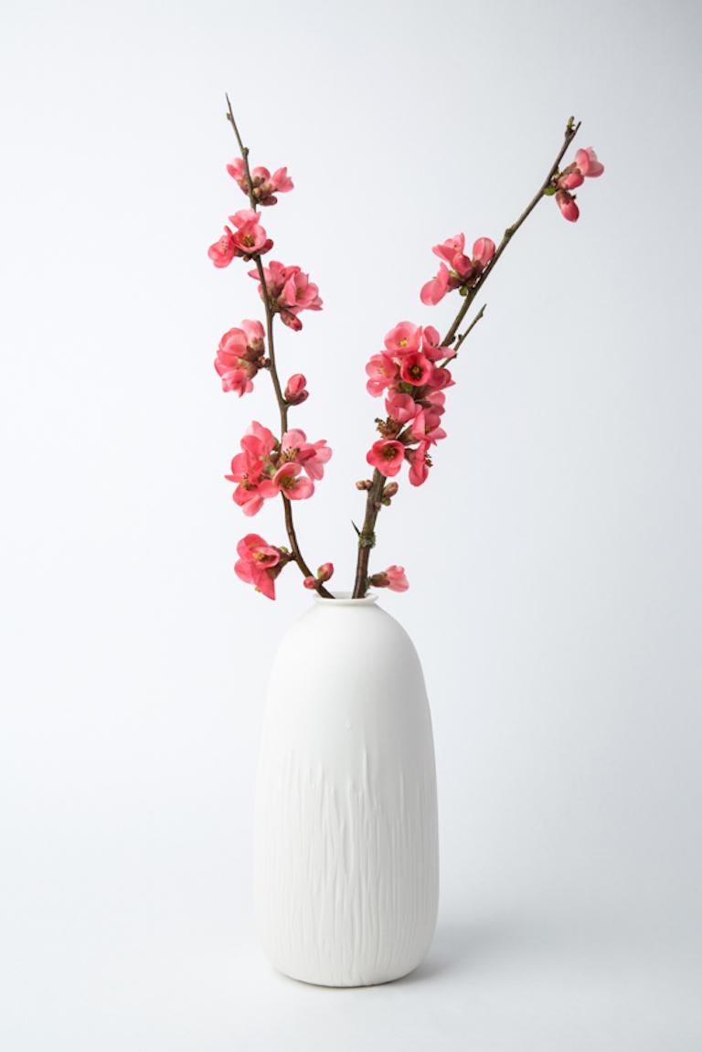 Moderne Vase Soliflore Ecaille, ensemble en vente