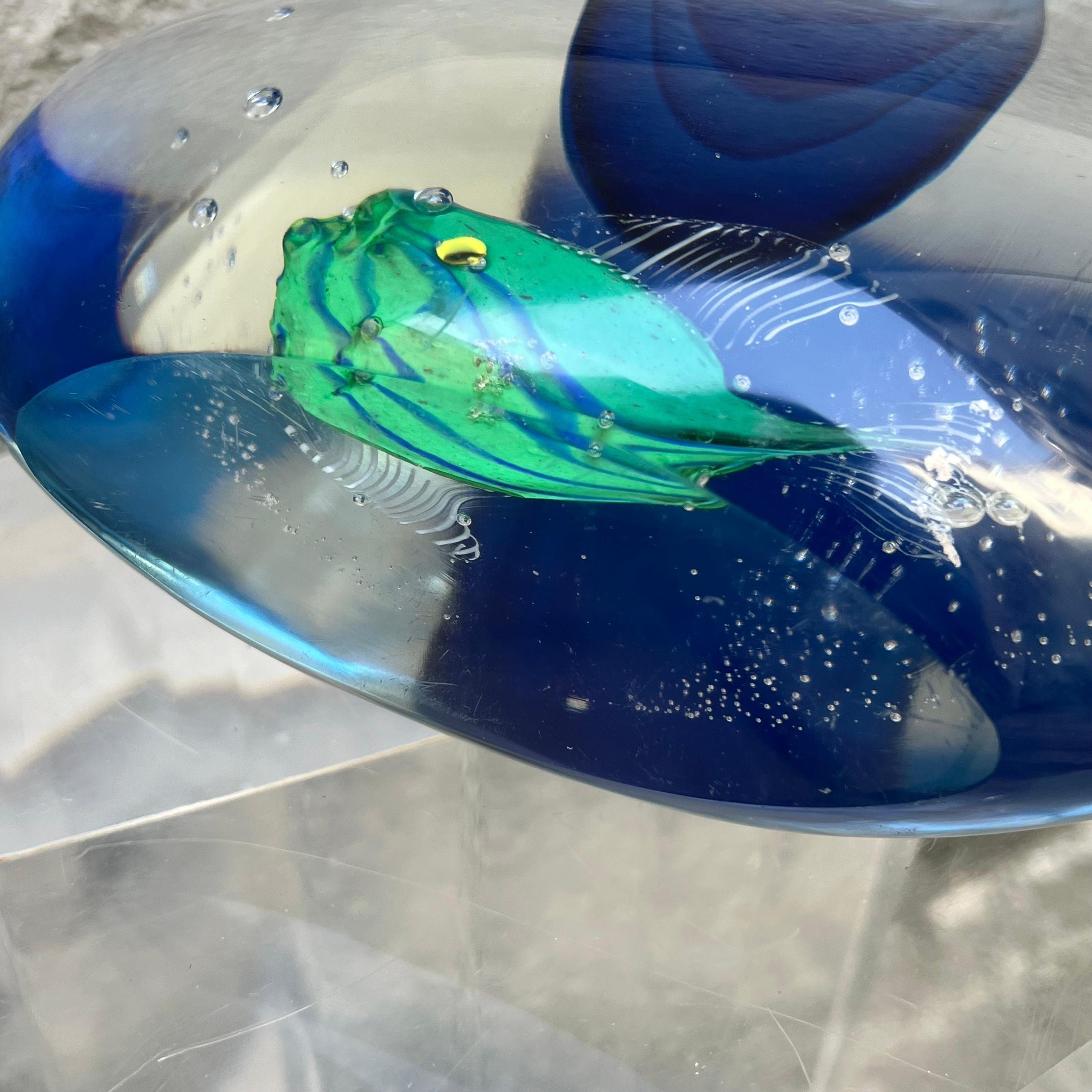 Submerged Glass Aquarium Vase - Attr. to Flavio Poli - Murano Italy - 1960s For Sale 12