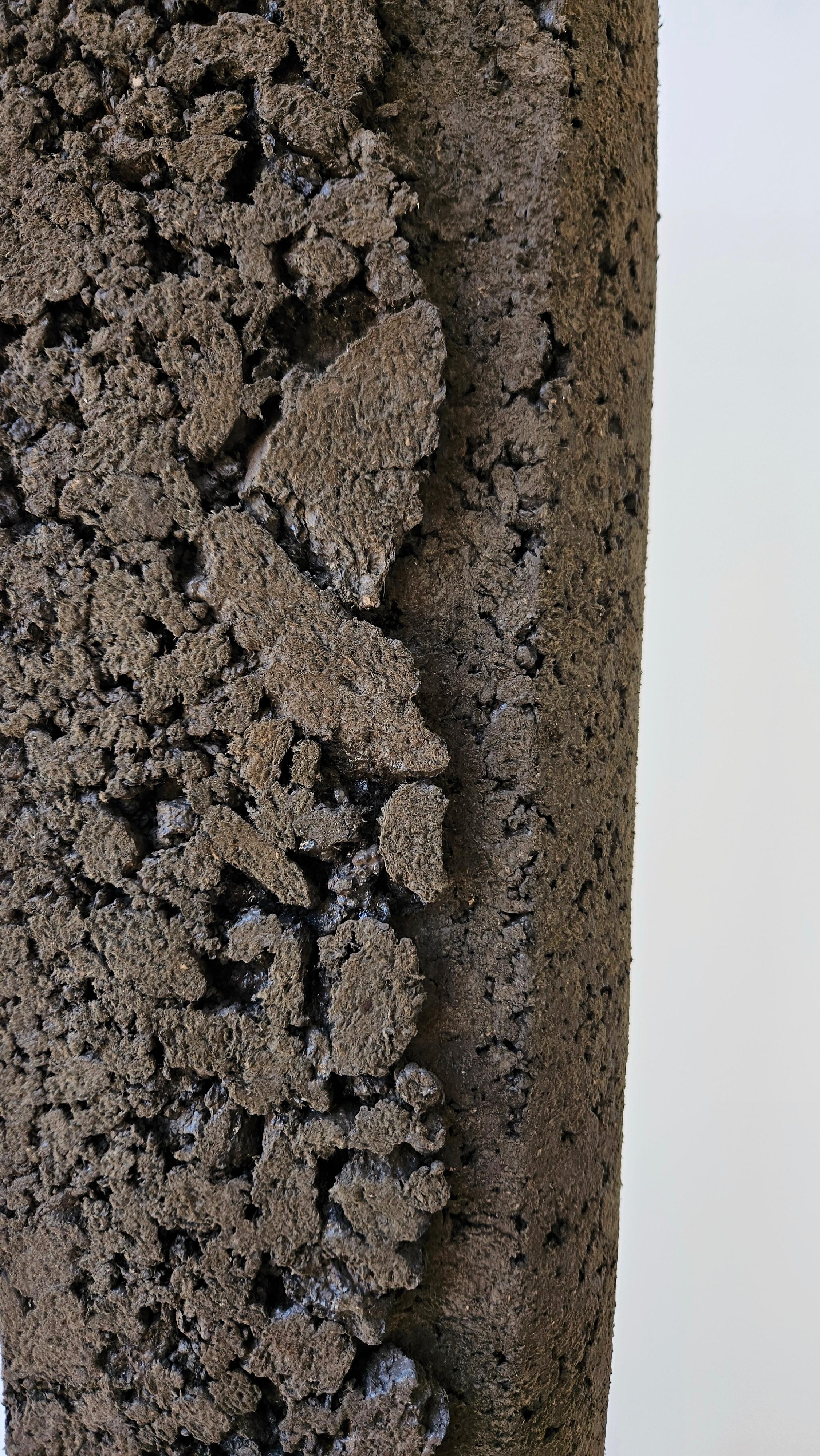 Brésilien Vaso Crosta 01 Sculpture de Domingos Tótora Estúdio en vente
