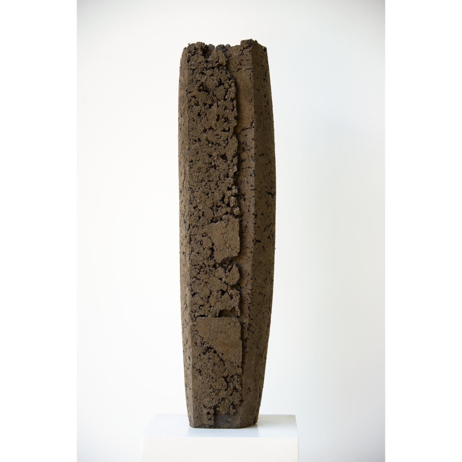 Brésilien Vaso Crosta 03 Sculpture de Domingos Tótora Estúdio en vente
