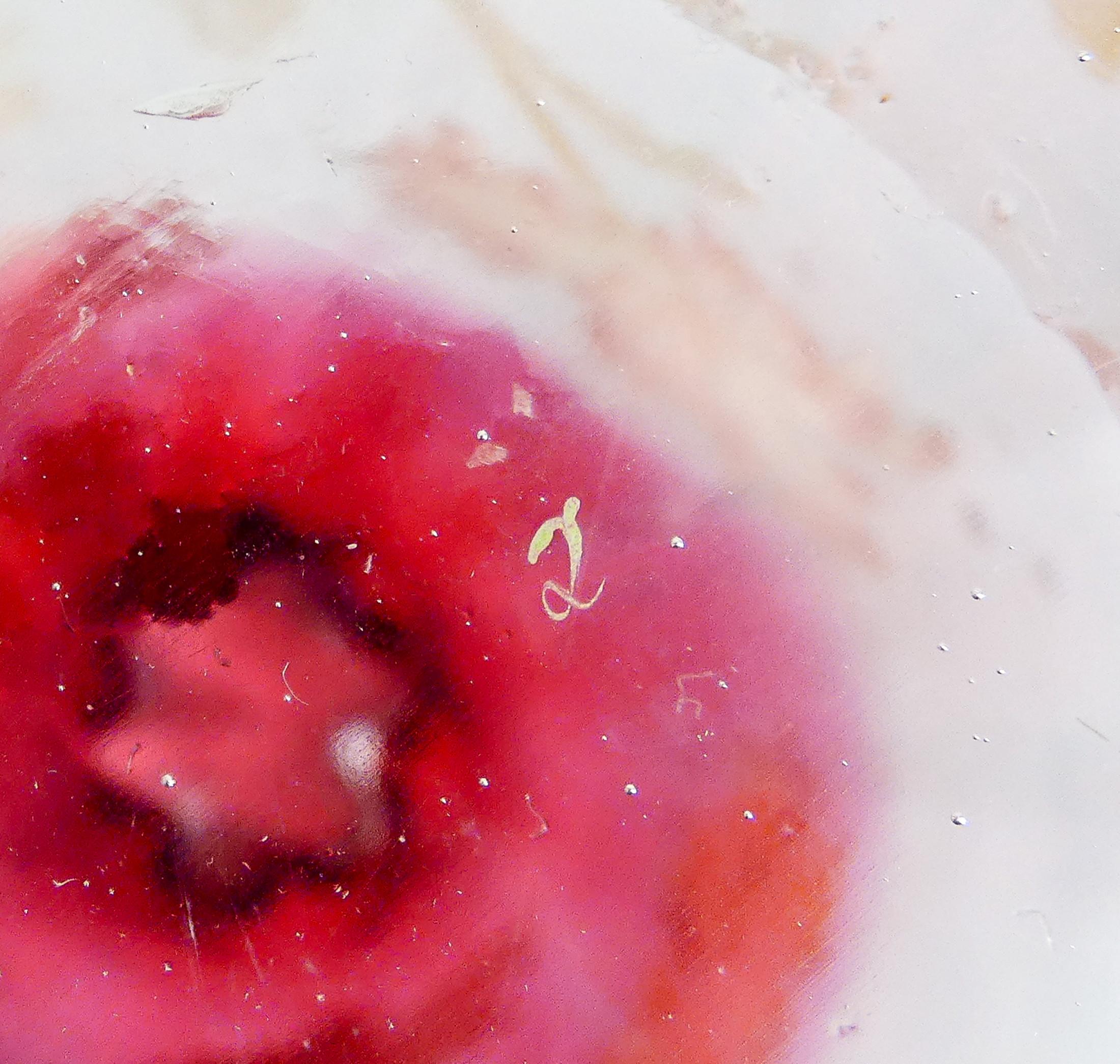 Vaso in vetro soffiato dipinto a mano LEGRAS. Francia, XX secolo in vendita 10