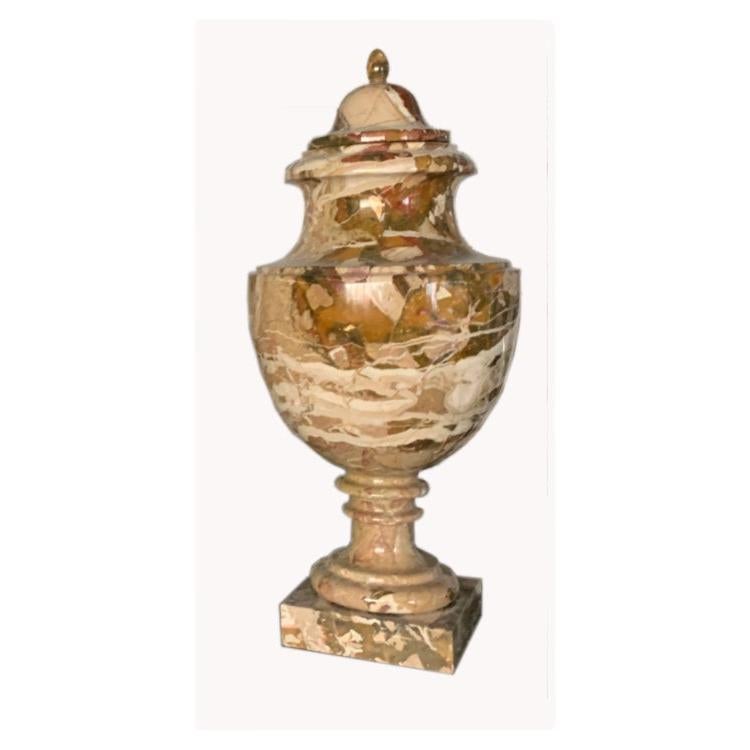 Vase en marbre Breccia Principessa  h cm 60 avec couvercle  en vente