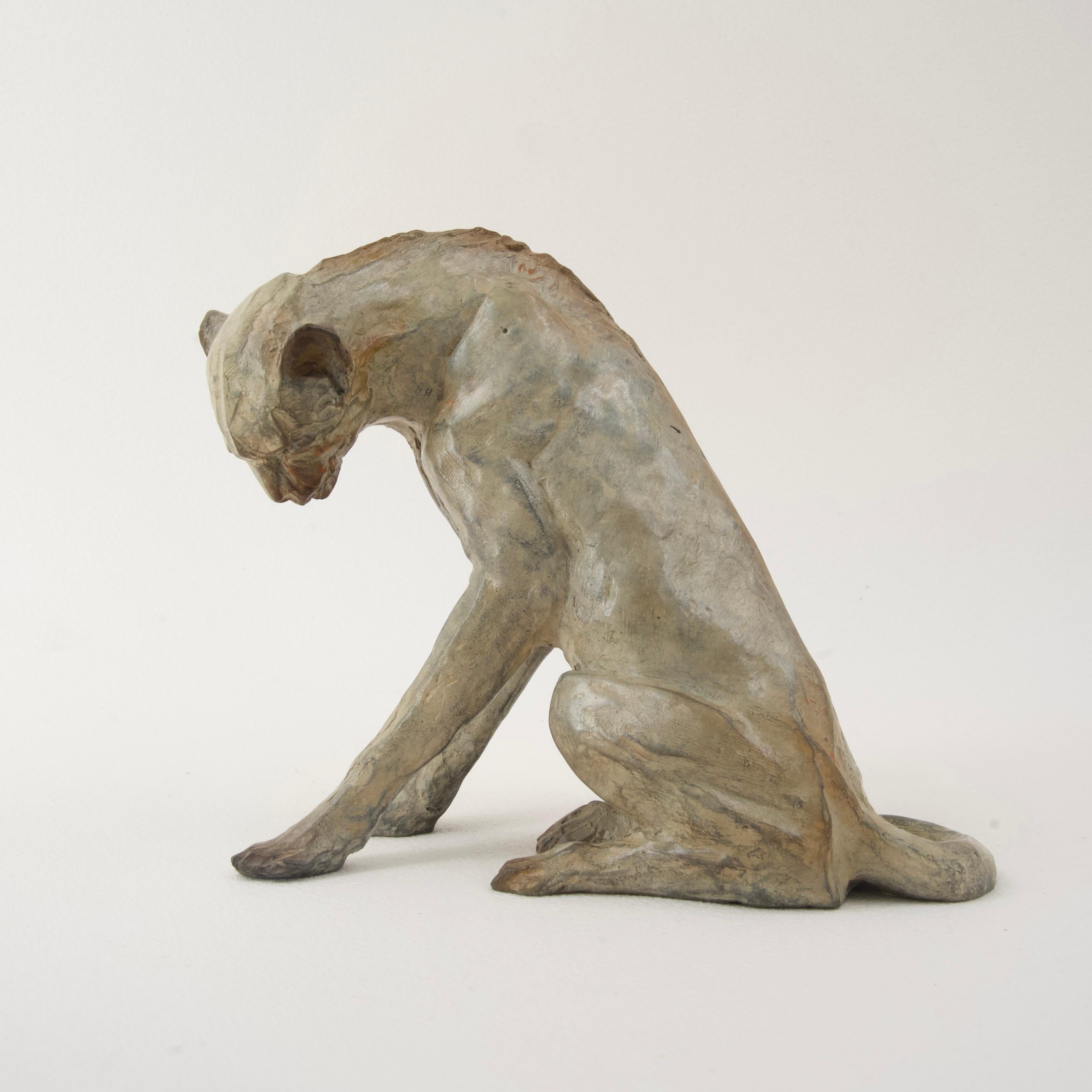 Wounded cheetah ("guépard blessé") - Bronze sculpture signed by Vassil, numbered
