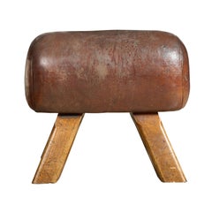 Vaulting Horse Bench / Seat