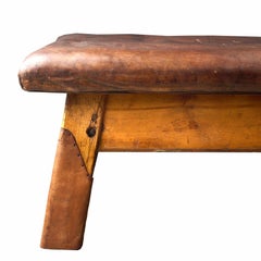 Vaulting Horse Bench/Table