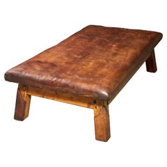 Vaulting Horse Bench/Table