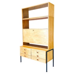 VEB DW Hellerau Mid Century bookshelf Joachim Nebelung 1960 Shelf