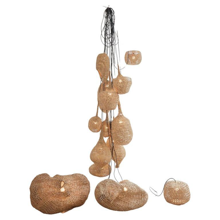 Vegetable fabrics N°7 pendant lamp by Estudio Rafael Freyre
Dimensions: D 150 x H 250 cm 
Materials: Reed, brass.

Vegetable Fabrics brings us closer to the processes of growth and transformation of the plant organism, posing a relationship with