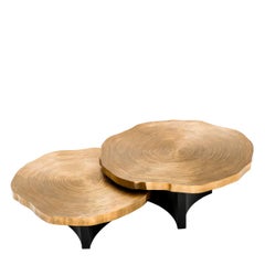 Veining Set of 2 Coffee Table