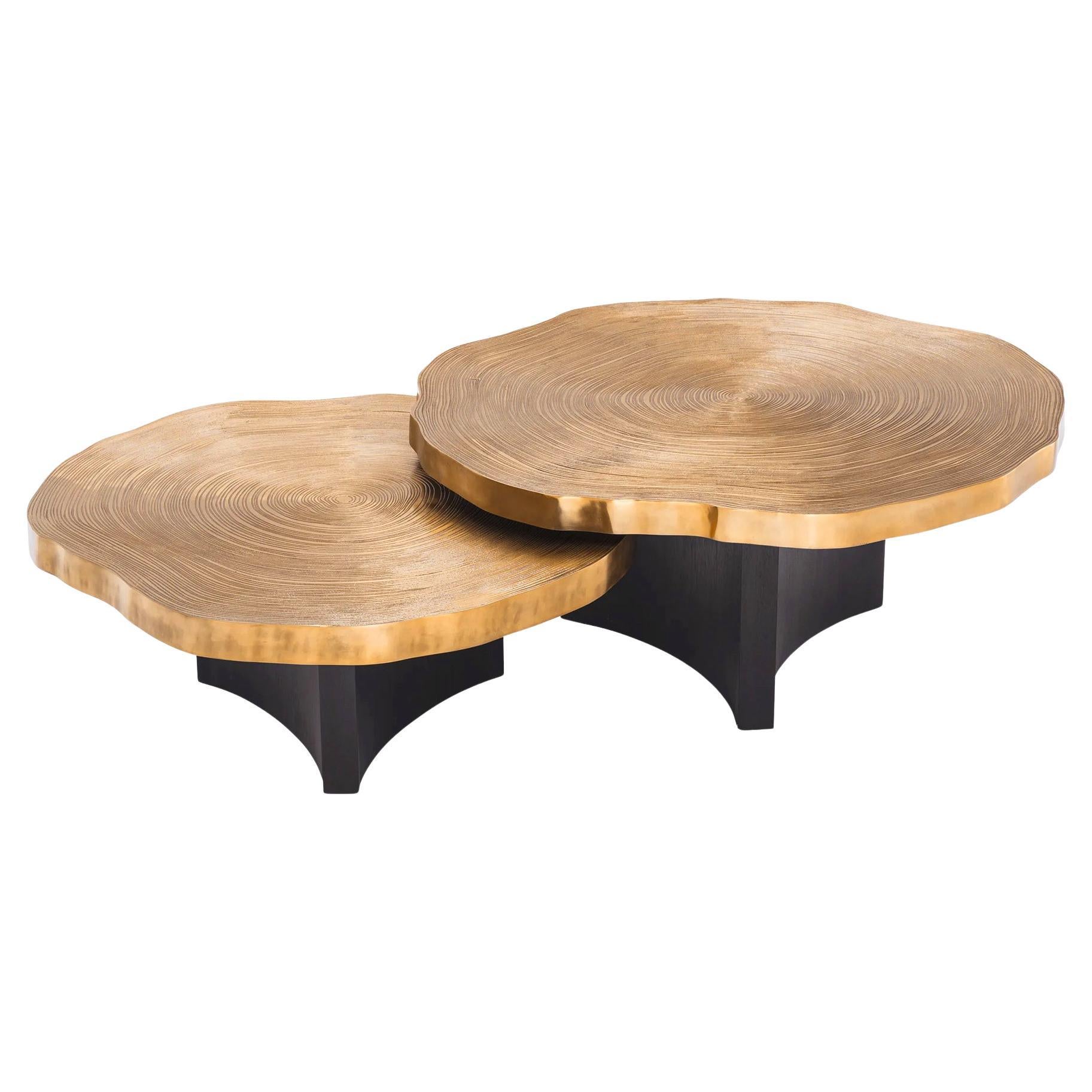Veining Set of 2 Coffee Table