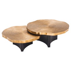 Veining Set of 2 Coffee Table