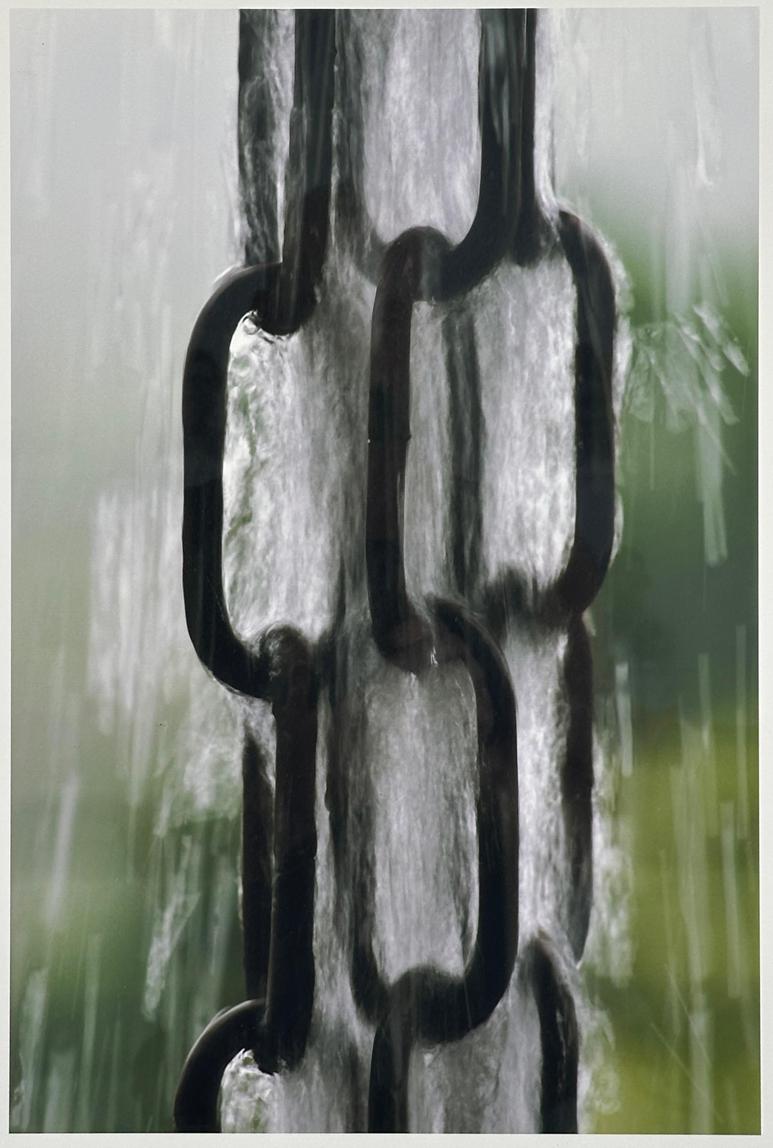 Rain Chain (Brésil) - Gris Color Photograph par Vel Riberto