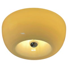 Velella Flush Mount or Wall Lamp by Achille & Pier Giacomo Castiglioni for Flos