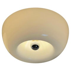 Velella Flush Mount or Wall Lamp by Achille & Pier Giacomo Castiglioni for Flos