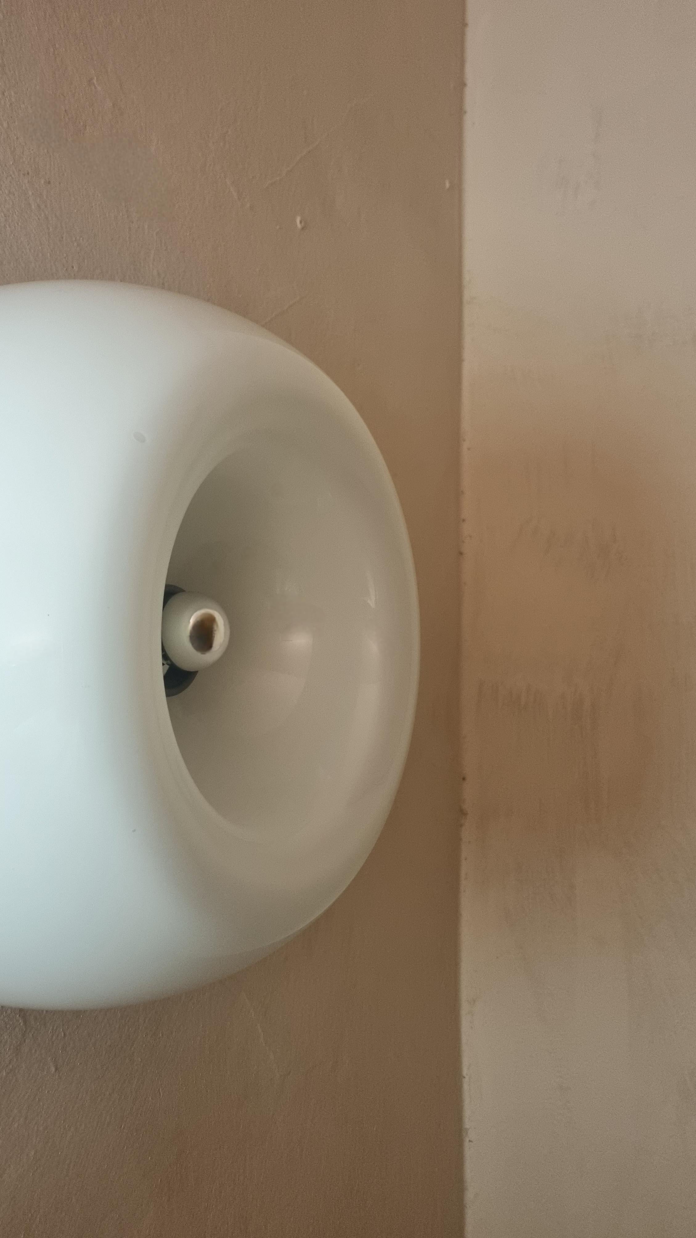 Velella wall sconces designed by Castiglioni brothers for Flos 1967 For Sale 1