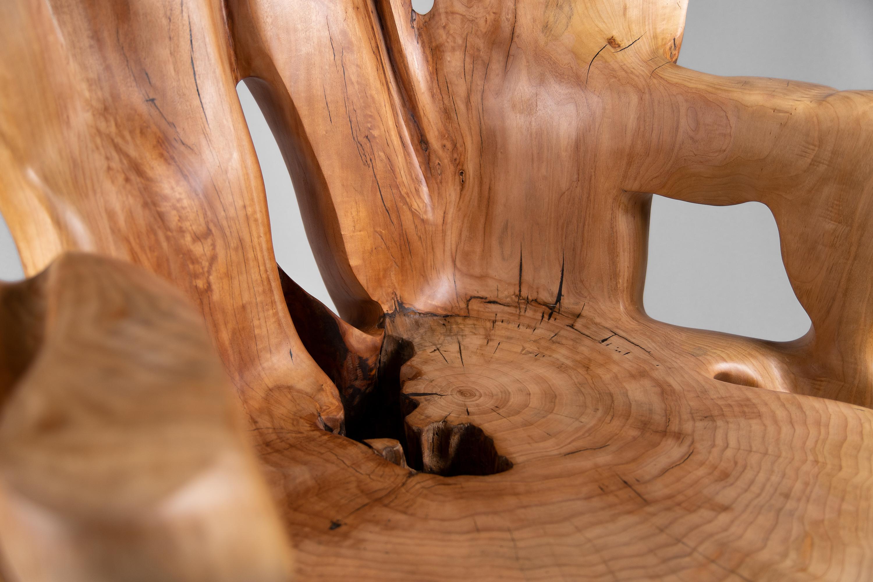 Armchar Veles sculpté à partir d'une seule pièce de bois en vente 8