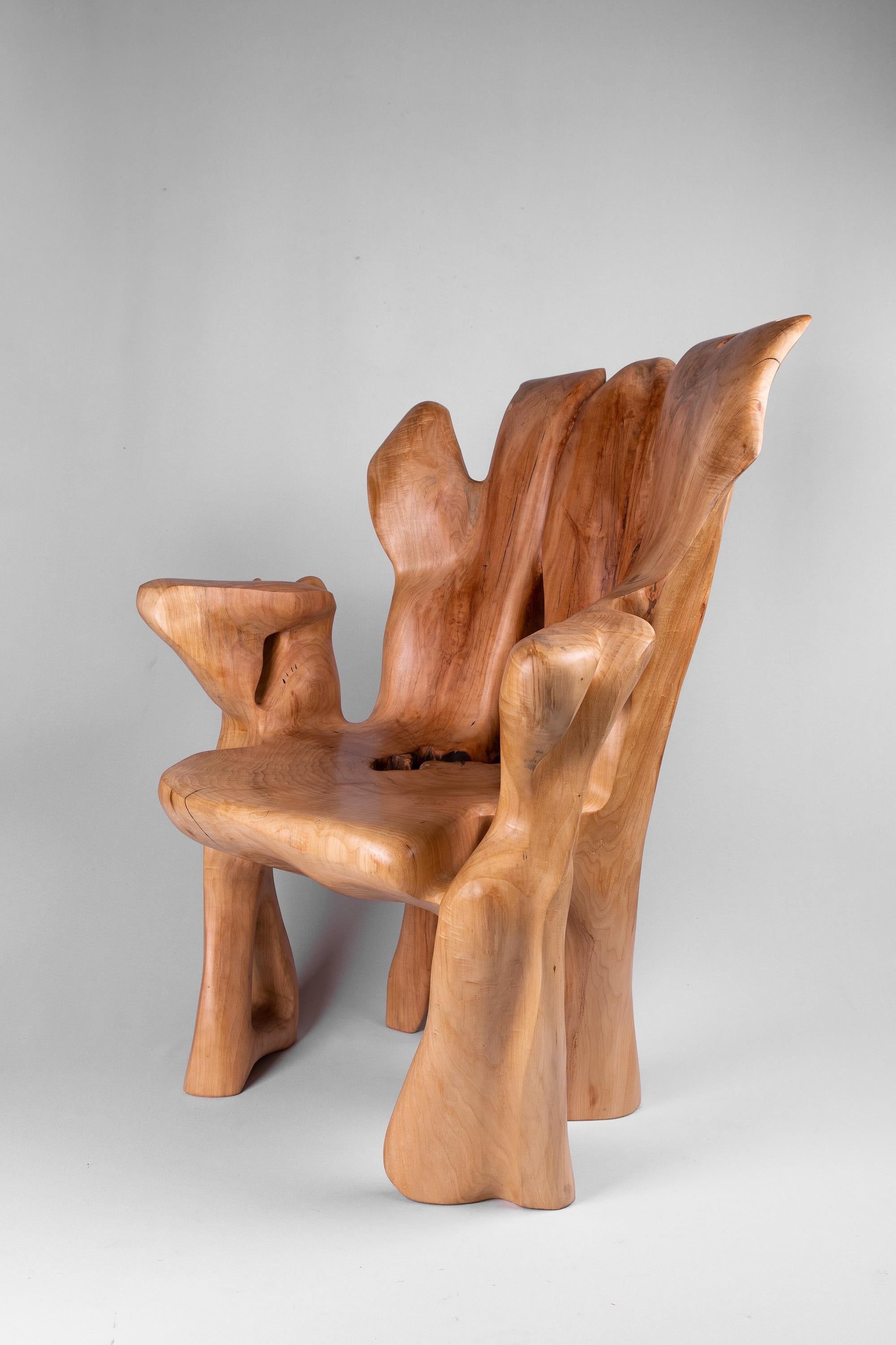 Contemporary Veles Wooden Armchar Carved From Single Piece of Wood For Sale