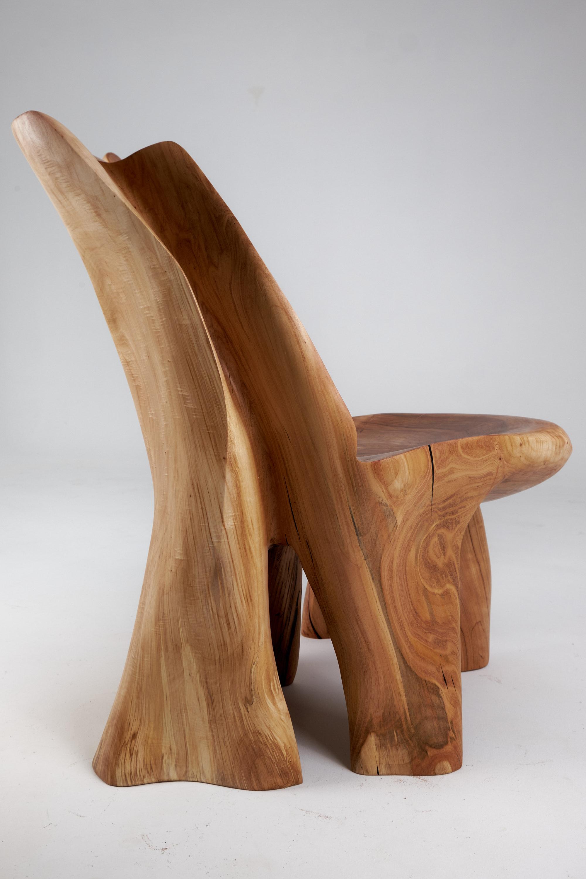 Veles Wooden Lounge Chair Carved From Single Piece of Wood, Logniture For Sale 2