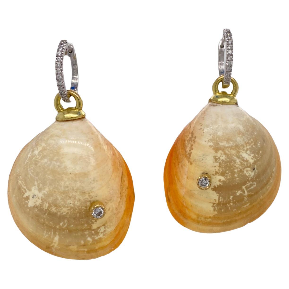 Velvet Egg Cockles with 18k Yellow Gold with Diamond Earrings For Sale