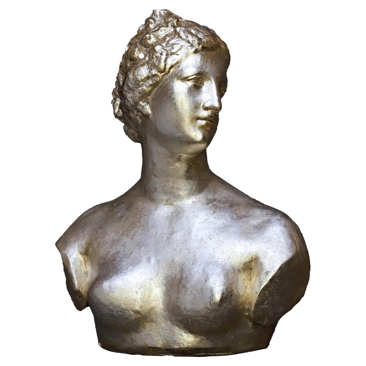 Venere De' Medici Silvery Sculpture For Sale