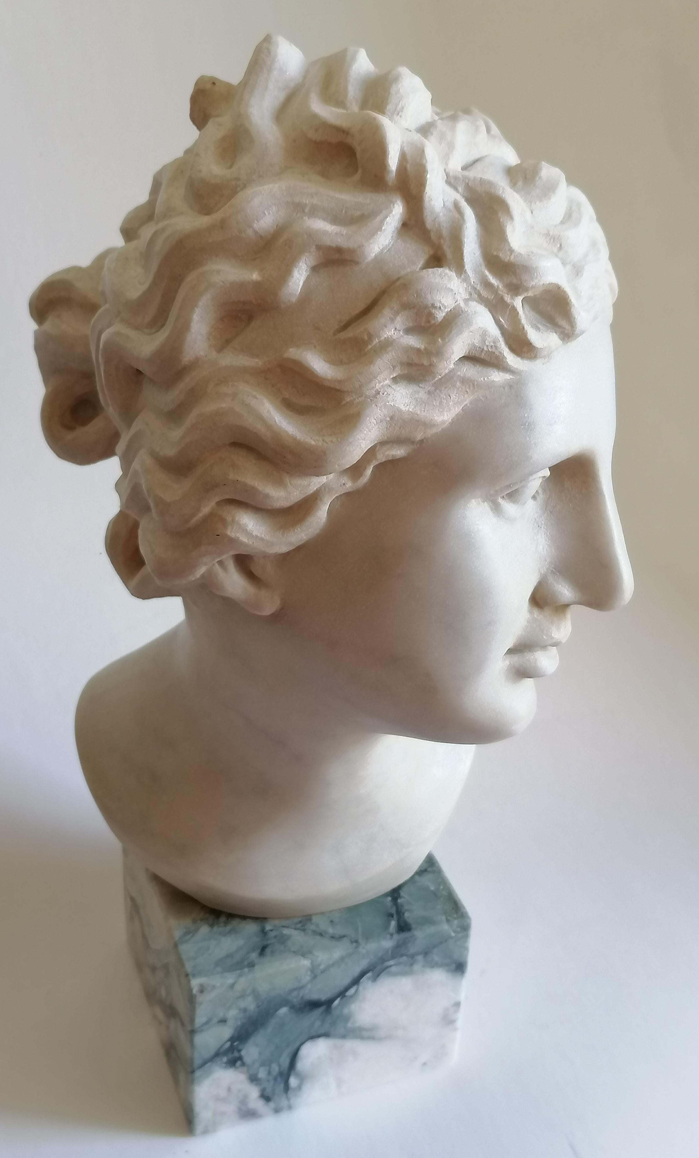 Classical Greek Venere Medici -testa scolpita su marmo bianco di Carrara -made in Italy For Sale