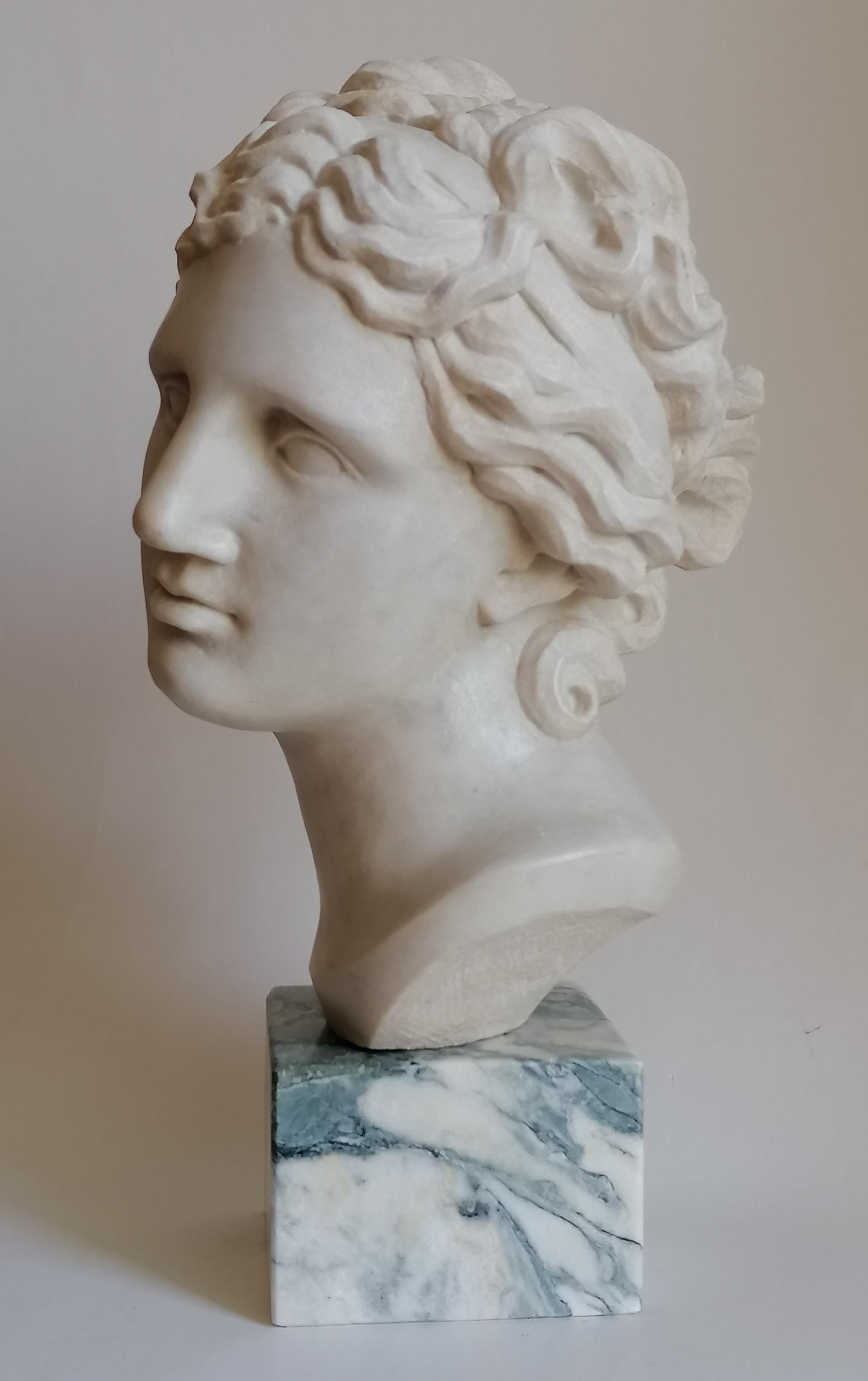 Italian Venere Medici -testa scolpita su marmo bianco di Carrara -made in Italy For Sale