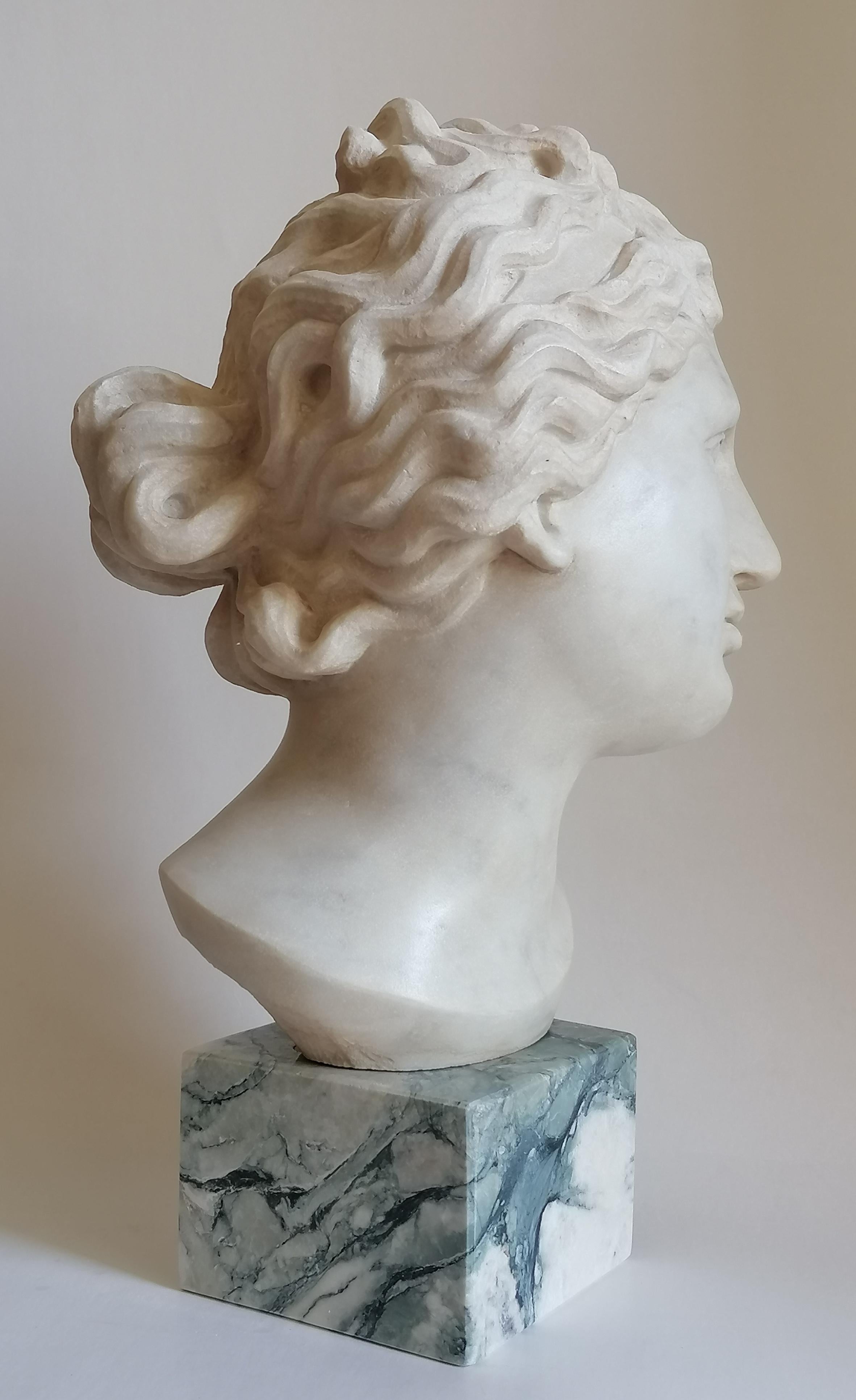 Contemporary Venere Medici -testa scolpita su marmo bianco di Carrara -made in Italy For Sale