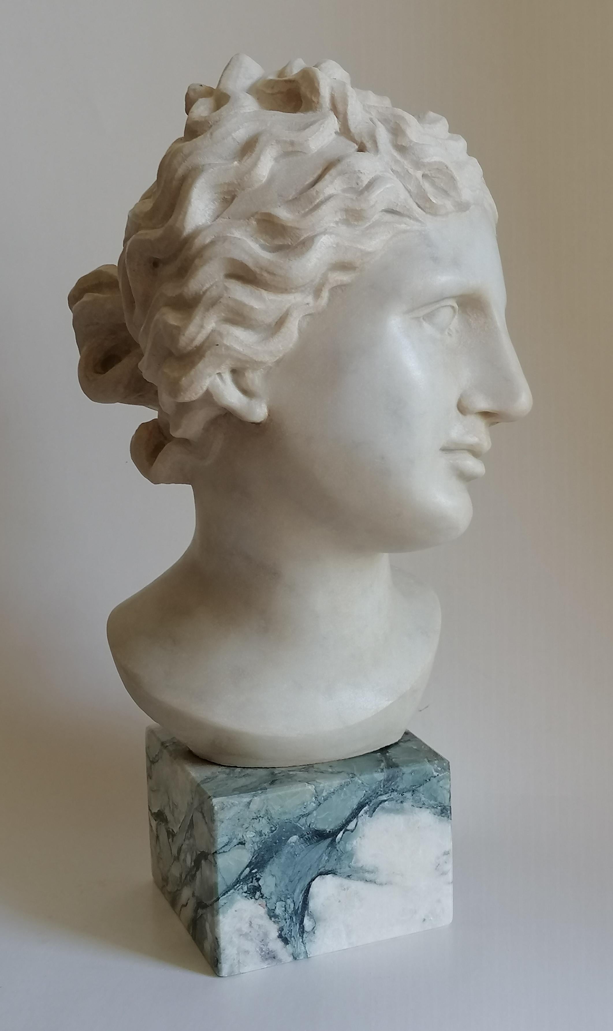 Carrara Marble Venere Medici -testa scolpita su marmo bianco di Carrara -made in Italy For Sale